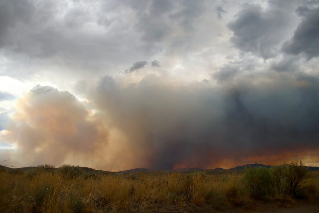 Qinghai forest fire